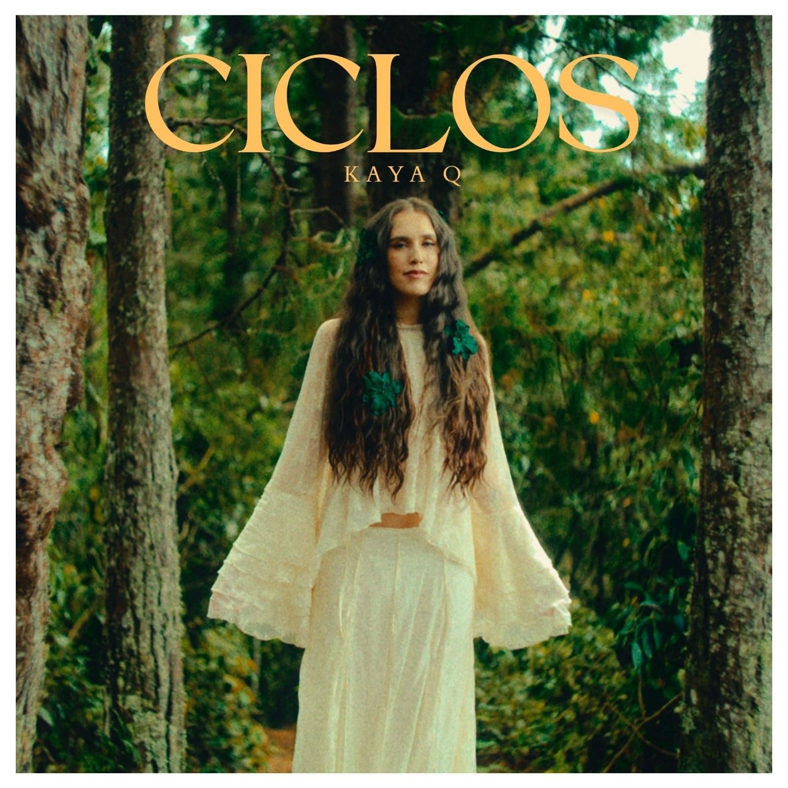 Ciclos