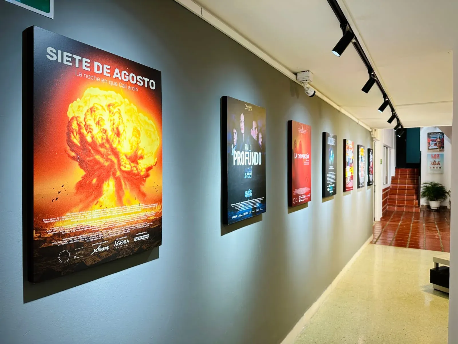 WhatsApp Image 2026-01-22 at 10.52.50 AM.webp