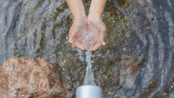 Agua