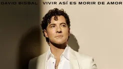 david bisbal (1).webp