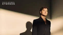 david bisbal (2).webp